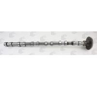 AE CAM1017 Camshaft