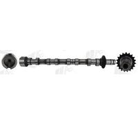 Camshaft Exhaust Side Steel CAM1031 AE for CITROËN PEUGEOT FORD FORD USA DS OPEL