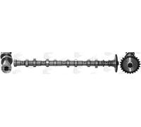 Camshaft Exhaust Side Steel CAM966 AE for HYUNDAI KIA