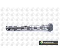 Camshaft Fits Audi Skoda A4 A6 A8 Superb BGA CS1523