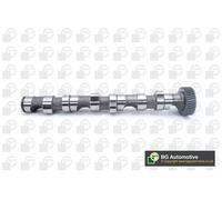 Camshaft Fits Audi Skoda A4 A6 A8 Superb BGA CS1523