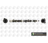 Camshaft Fits Audi VW 100 Transporter/Caravelle Transporter BGA CS3384