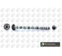 BMW 2.0 16v N47D20 BGA Inlet Camshaft 11318575435 11318509118 11317797512 NEW