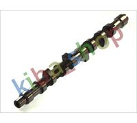 CAMSHAFT FITS CITROEN BERLINGO BERLINGO/MINIVAN BX C15 C15/MINIVAN C25 EVASION