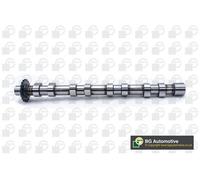 Camshaft INLET FOR CITROEN FIAT FORD LANCIA PEUGEOT VOLVO 2.0 D TDCI HDI JTD