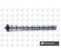 Camshaft Fits Citroen Fiat Ford Peugeot Volvo C4 C4 Picasso C4 BGA CS5523