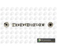2x ✅Fits BGA CS6387 CAMSHAFT ⭐UK Seller⭐