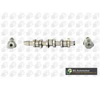 BGA Engine Camshaft Intake Side Lobes fits Seat Skoda Vw