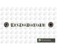 Camshaft Fits Opel Vauxhall Astra Combo Corsa Meriva Astravan BGA CS9739