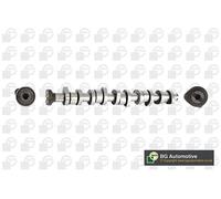 Camshaft Fits VW Touareg Multivan Transporter/Caravelle BGA CS9610