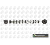 Camshaft Exhaust Side CS9650 BGA for VW TOUAREG MULTIVAN Mk V