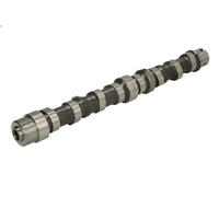 Camshaft INA 428 0103 10 FORD KA (RU8) 1.3 2008-2016