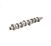 Camshaft INA 428 0110 10 for AUDI A3 (8P1) 1.9 2003-201