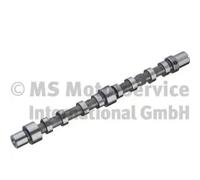 Kolbenschmidt camshaft for Iveco 2.3 504096185 F1AE0481A F1AE0481B F1AE0481H