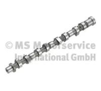 KOLBENSCHMIDT Camshaft 50007803 Intake Side NISSAN: Navara Pickup