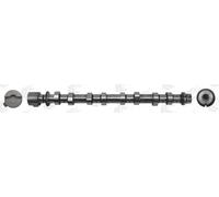 AE CAM1003 Camshaft