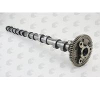 AE CAM1016 Camshaft