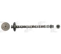 AE CAM1036 Camshaft