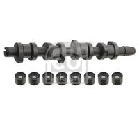 FEBI BILSTEIN 33195 Camshaft kit