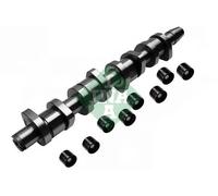 Camshaft kit 428 0039 30 INA for VW SKODA SEAT AUDI