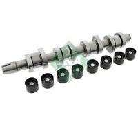 INA 428 0042 30 Camshaft kit