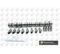 BGA Camshaft Kit CS1453FK - Intake Side with Bearings - Fits Chevrolet/Opel/Vauxhall