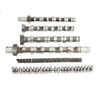 Camshaft Kit INA 428 0038 30 for AUDI A4 B6 (8E2) 2.5 2002-2004