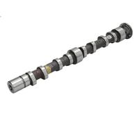 Camshaft KOLBENSCHMIDT 50007019 for VW TIGUAN (5N_) 1.4 2007-2018