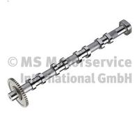 Camshaft Exhaust Side 50007712 KOLBENSCHMIDT for VW SEAT SKODA AUDI