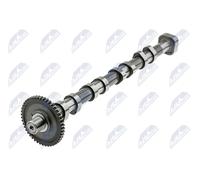 Camshaft NTY Fits AUDI A3 SEAT Alhambra SKODA Octavia II VW Cc 04-18 06H109022L