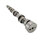 Camshaft Replacement for Cummins L8.9 ISL QSL9 Diesel Engine Compatible with OEM Part Number 3966430