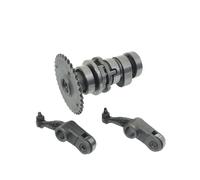 Camshaft Rocker Arm Compatible With RESV For Xciting 250 300i CT250 CT300 PEOPLE G.DINK AGILITY XTOWN CITY 300i 14100-ABD2-900(One Set)