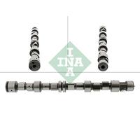 Camshaft Schaeffler INA 428 0096 10 for OPEL