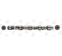 AE CAM729 Camshaft