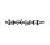 Camshaft Steel CAM968 AE for VW CADDY III Estate CADDY III Box Body/MPV GOLF V