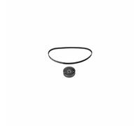 FEBI BILSTEIN Timing Belt Kit 14618 – for Camshaft – Pack of 1