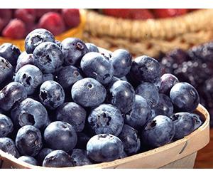 Can Certain Foods Make You Smarter?