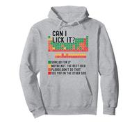 Can I Lick It Periodic Table Funny 100 days of School Pullover Hoodie