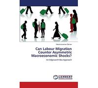 Can Labour Migration Counter Asymmetric Macroeconomic Shocks?: An Edgeworth Box Approach