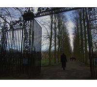 Can Science and Theology Find Deep Reality?