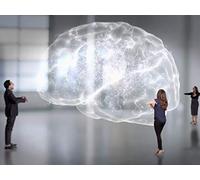 Can We Build a Brain?