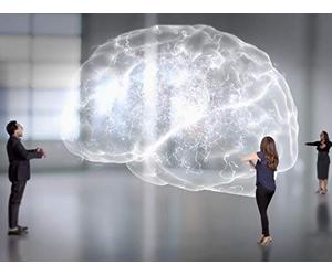 Can We Build a Brain?