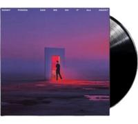 Sonny Fodera - can we do it all again? [VINYL]