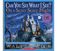 Can You See What I See?: On a Scary Scary Night: Picture Puzzles to Search and Solve