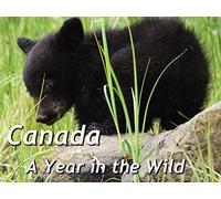 Canada: A Year In The Wild
