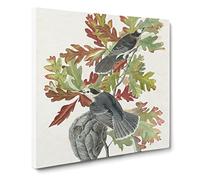 Canada Jay Birds by John James Audubon Canvas Print | Gallery Wrapped 30mm Frame Wall Art | 14x14 inches | Ready to Hang | Modern Bird Picture | Living Room Bedroom Lounge Office