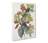 Canada Jay Birds By John James Audubon Canvas Print | Gallery Wrapped 30mm Frame Wall Art | 24x16 inches | Ready to Hang | Retro Bird Picture | Living Room Bedroom Lounge Office