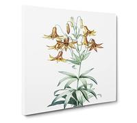 Canada Lily Flowers by Pierre Joseph Redoute Canvas Print | Gallery Wrapped 30mm Frame Wall Art | 20x20 inches | Ready to Hang | Retro Floral Picture | Living Room Bedroom Lounge Office
