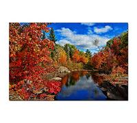 Canada New Brunswick Jigsaw Puzzle 1000 Piece Game Artwork Travel Souvenir 38x26cm