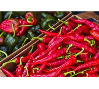 Canada, Quebec, Montreal. Little Italy, Marche Jean Talon Market, peppers Poster Print by Walter Bibikow (24 x 36)